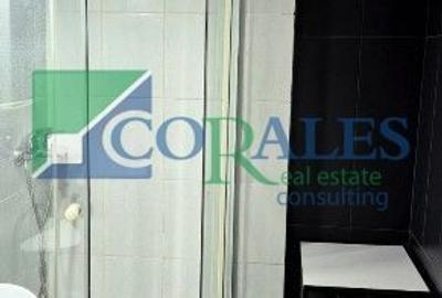 Garsonieră semidecomandată, mobilată în Take Ionescu - 4