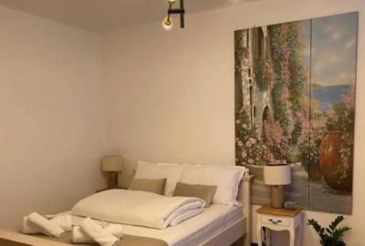 Inchiriez apartament in centrul vechi - 7