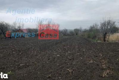 Teren de 3000 mp, în Prisăcani - 5