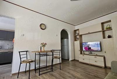 INCHIRIEZ GARSONIERA in Timi?oara, confort I, complet renovata ?i mobilata, Zona Plava? 2 Biserica M - 9