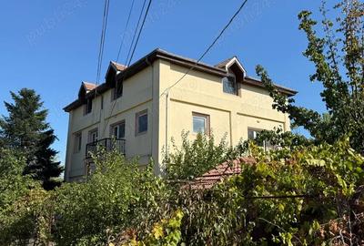 Casă cu 13 camere cu Teren 1580 Mp în Cățelu - 2