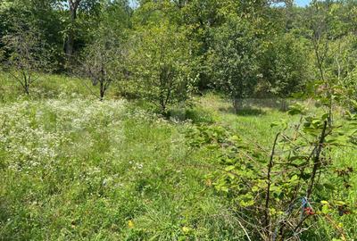 Casa Str. Negoiului, 2.249 mp teren, zona lini?tita, ved - 4