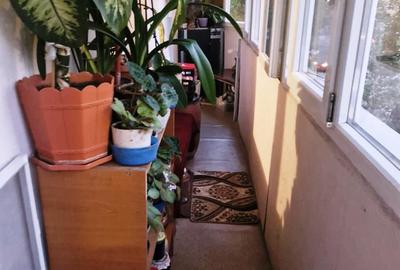 Dristor-Scolarilor - 10