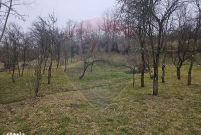 Casă cu 4 camere în Prislop - 3