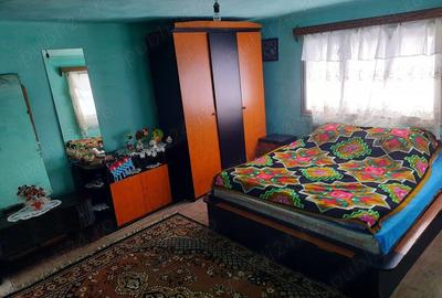 Vand casa (2 corpuri+ ograda) + 2 terenuri in Visca, Jud. Hunedoara - 6