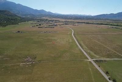 Teren de 14500 mp, în Glăjărie - 9