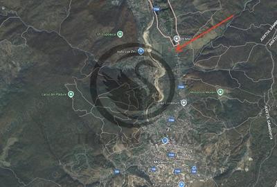 Teren de 26908 mp, în Iedera - 2