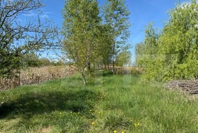 Teren 19000mp , iaz -120mp, Botosanita, Siret - 13