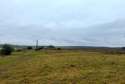 Vanzare 10.000 mp teren Liteni Suceava- la strada -potrivit proiect fonduri - 6