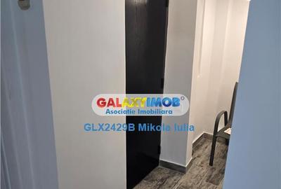 Casa 4 camere D P 142 mp Banu Manta - Titulescu - 8