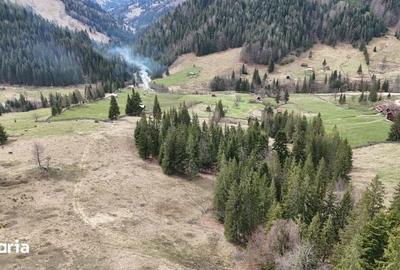 Teren de 53159 mp, în Fundu Moldovei - 2