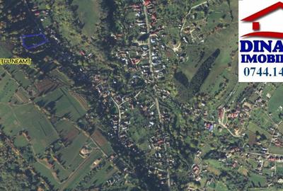 3600 mp teren intravilan, sat Bistrita, 16 Euro/mp - 5