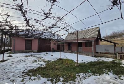 Casă cu 4 camere cu Teren 830 Mp în Bratca - 6