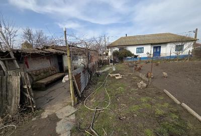 Casă cu 3 camere în Sabangia - 3