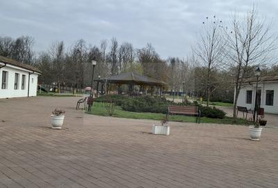 Casă cu 4 camere în 1 Decembrie - 8