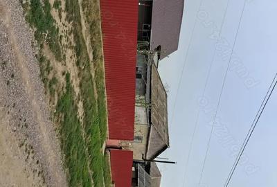 Casă cu 5 camere cu Teren 4000 Mp în Valea Nucarilor - 6
