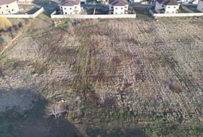 Teren Construcții intravilan de 1406 mp, în Moșnița Nouă - 2