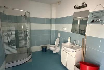 Casa individuală 7 camere in Făget, teren 500 mp, utili 250 mp - 4