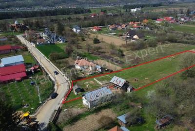 Teren de 2508 mp, în Argeșani - 10