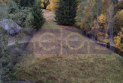 Hotel/Pensiune, de 1,415 mp, în Măneciu-Ungureni - 10