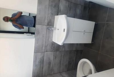 Hala noua de inchiriat, Zona Aeroport - 3