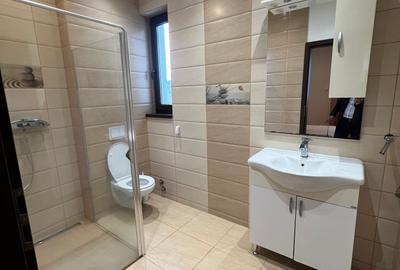 Dimitrie Leonida Metrou - 13