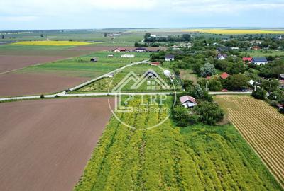Teren Construcții intravilan de 15500 mp, în Creața - 4