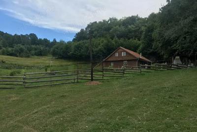 Casă cu Teren 30000 Mp în Central - 5