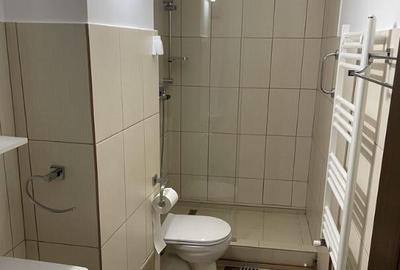 Garsoniera de inchiriat zona Universitate - 3