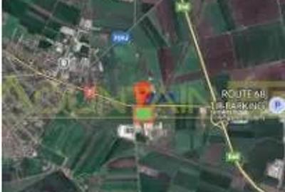 Pecica, jud Arad, 6ha teren de vanzare Pecica, jud Arad, 6ha teren de vanzare - 3