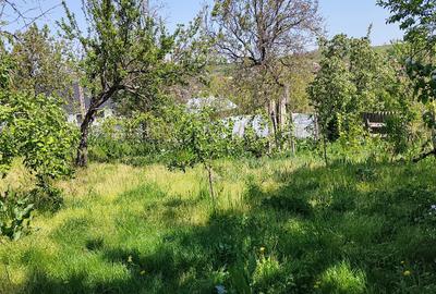 Casa si teren sat Epureni (Duda-Epureni), Vaslui - 12