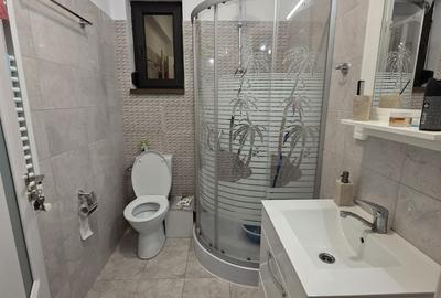 Pantelimon, str. Bucovina, vila P+M, constructie 2021, centrala, utilitati - 8