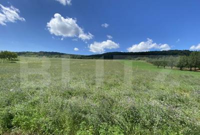 Teren intravilan in suparafat de 19213 mp, zona Valea Mitii - 4