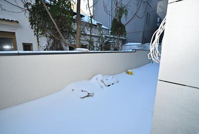 Spatiu birouri 102 mp ~ Parter ~ Bloc 2017 ~ Terasa 58 mp ~2 boxe subsol - 6