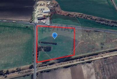 Teren agricol extravilan de 31400 mp, în Vest - 2