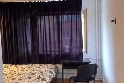 Garsoniera mobilata Zona Padurea Verde Continental, Timi?oara Garsoniera mobilata Zona Padurea Verde Continental, Timi?oara - 3