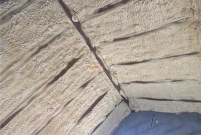 Casa de in sat Botarlau , parter si mansarda cu suprafata - 3