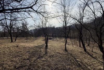 Teren Construcții intravilan de 2788 mp, în Central - 9