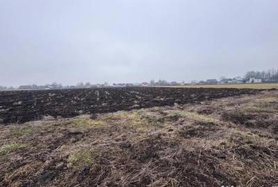 Teren de 3800 mp, în Frătăuții Vechi