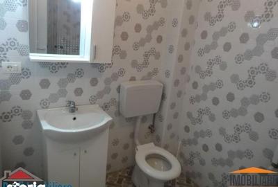 Apartament cu 2 camere, mobilat în Șega - 4