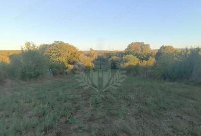 Teren de 3017 mp, în Plopu - 5