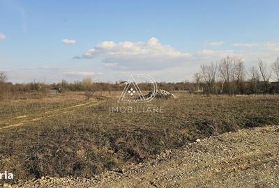 Teren de 475 mp, în Narciselor - 6