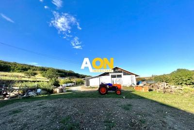 Ferma de vanzare cu 550MP utili si 27.500MP teren la asfalt - 7