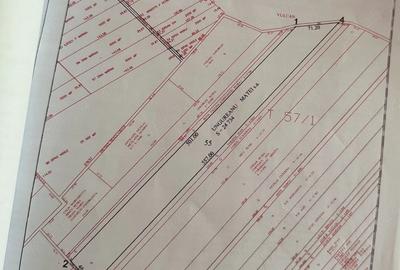 Teren de 1700 mp, în Exterior Vest - 4