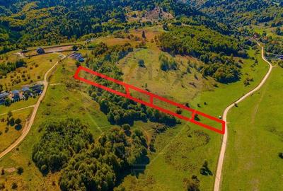 Teren Rasnov -Glajerie, Poiana Velicanului, 1447mp, la st... - 9