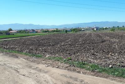 Teren de vanzare | 23.300mp | Gusterita - Oportunitate de investitie - 1