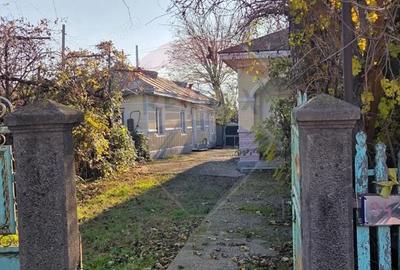 Casă cu 3 camere cu Teren 1373 Mp în Ciușlea - 10