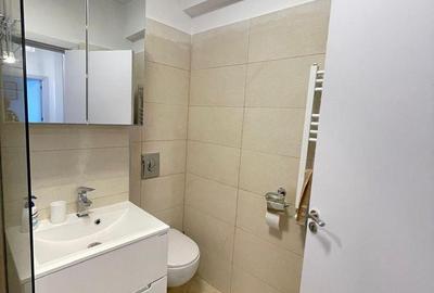 Apartament cu 2 camere, mobilat în Central - 18