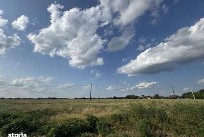 Casă cu 4 camere în Nojorid - 10