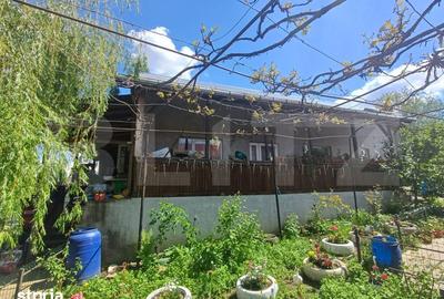 Casă cu 3 camere cu Teren 7300 Mp în Vulturești - 8